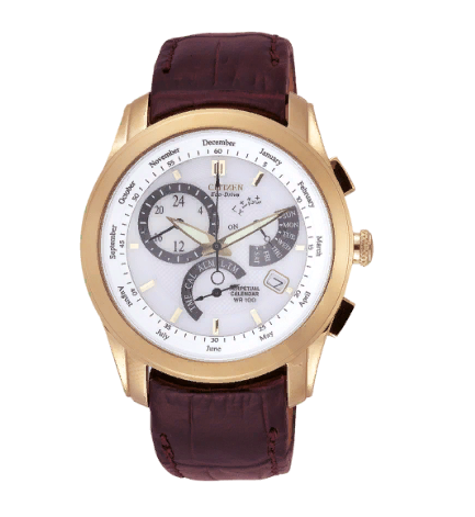 CITIZEN BL8006-07A BL8006-07A - фото 5856