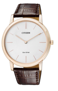 CITIZEN AR1113-12A