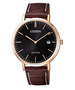 CITIZEN AU1083-13H