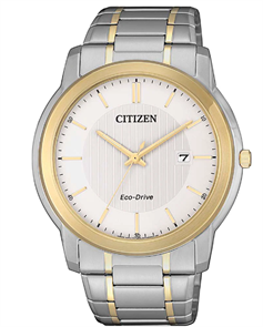 CITIZEN AW1216-86A