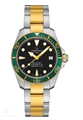 CERTINA C0328072205101 - фото 4573