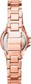 Michael Kors MK3253 MK3253 - фото 6168