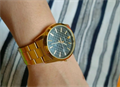 CASIO MTP-VD03G-1AUDF MTP-VD03G-1AUDF - фото 6778