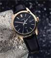 CASIO MTP-VD03GL-1AUDF MTP-VD03GL-1AUDF - фото 6784